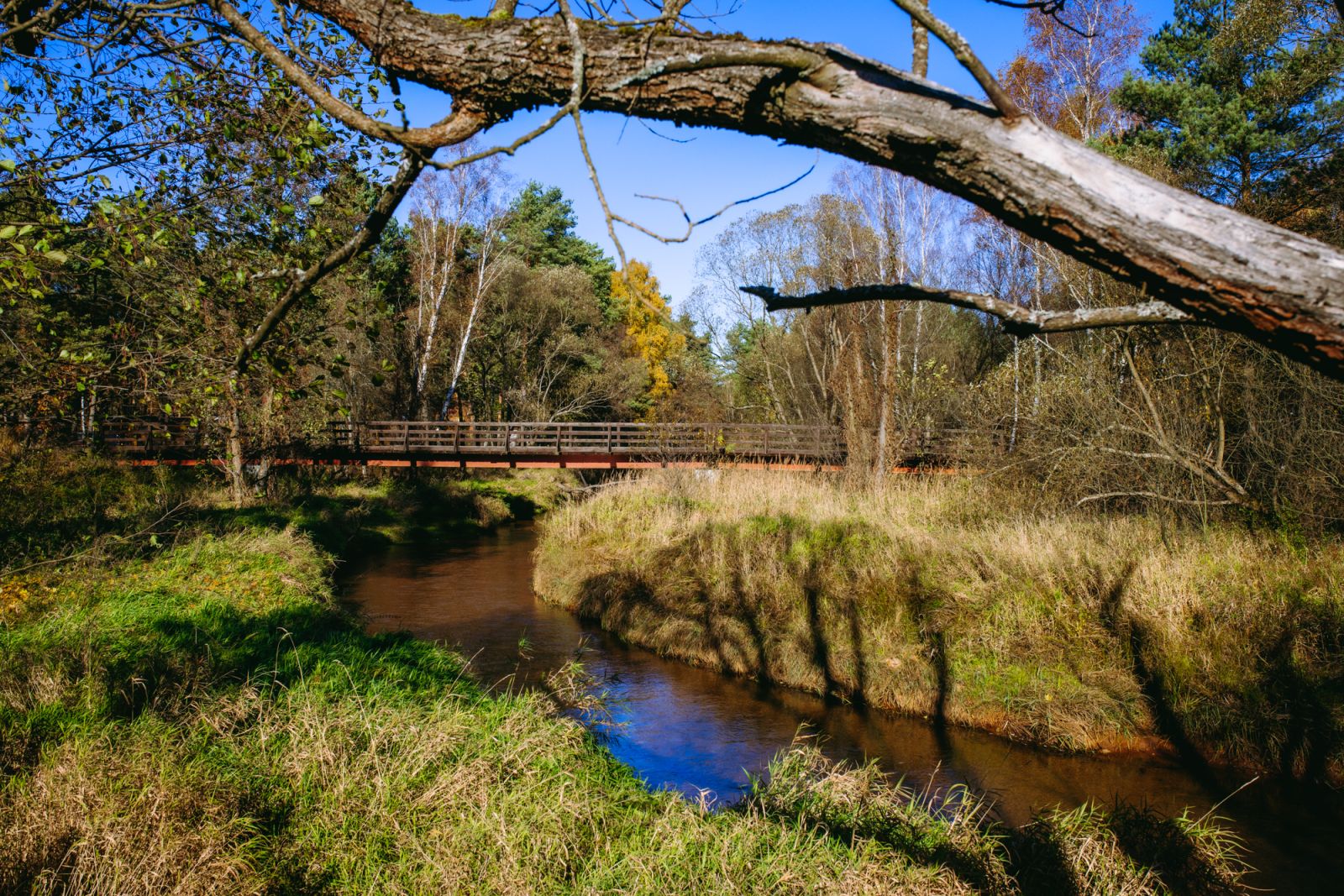 Rzeka Czarna Sielpia WIelka